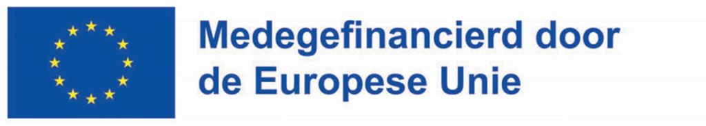 medegefinancierd-door-de-Europese-Unie-scaled